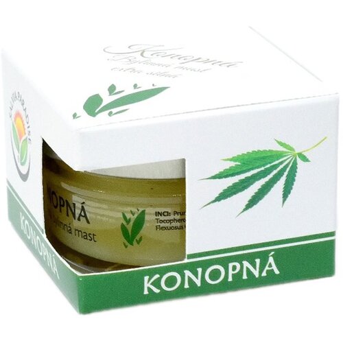 Salvia Paradise Cannabis herbal extra strong konopljino mazilo za kožo z ekcemom 50 ml Cene