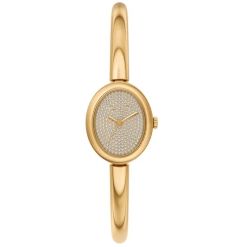  ROČNA URA MICHAEL KORS MK7593 Slike