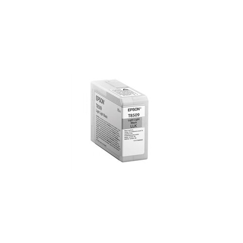 Epson Tinta T8509 (C13T850900) (svijetlo svijetlo crna), original Cene