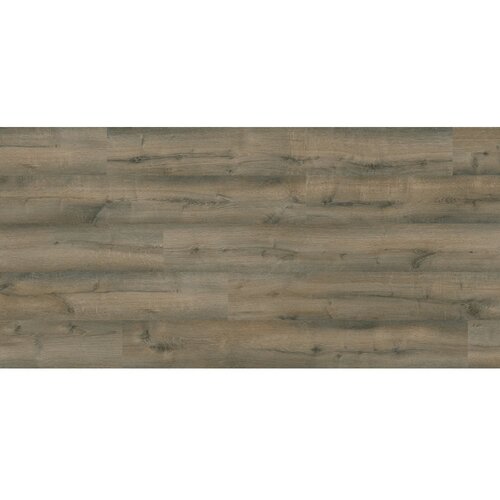Kaindl laminat masterfloor oak historic earth 12 mm K4440 eg V4 33 Cijene