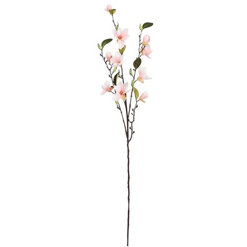 Edelman Ve&scaron;tačka grana Magnolija Cene
