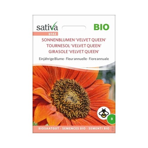 Sativa Bio enoletni cvet sončnica &amp;#039;Velvet Queen&amp;#039; Slike