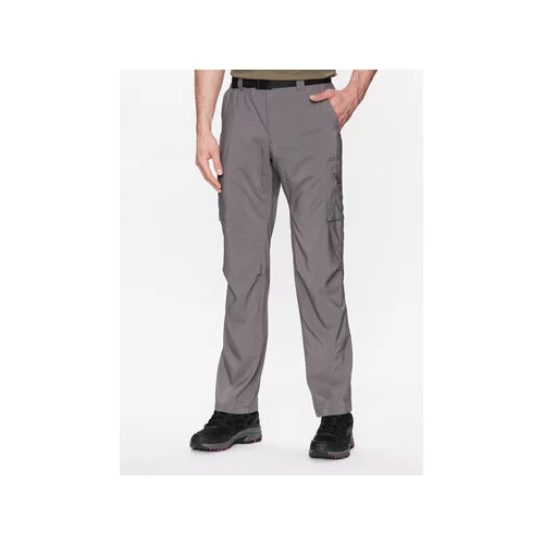 Columbia Pohodne hlače Silver Ridge™ 2012952 Siva Regular Fit