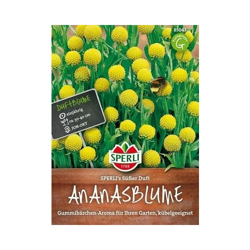 SPERLI Ananasov cvet "Sperli's Sweet Scent"