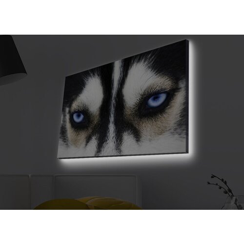 Wallity Slika sa LED osvetljenjem 4570MDACT-039, 45x70 cm Cene