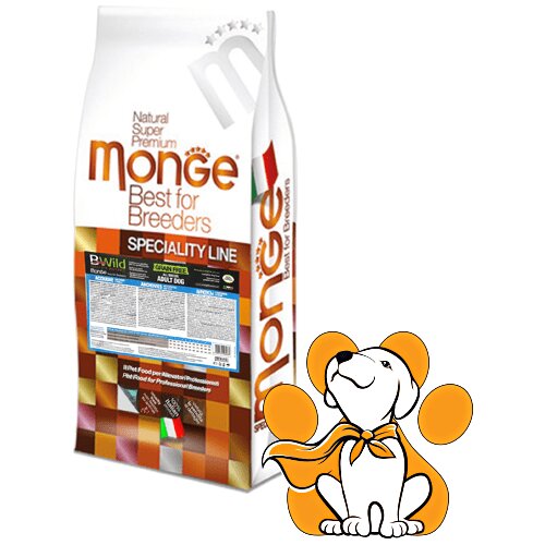 Monge Suva hrana za odrasle pse, Sa inćunom, 15kg Cene