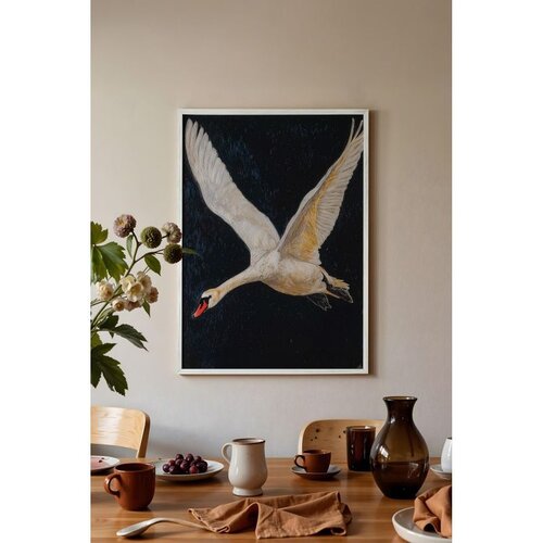Wallxpert uramljena slika 115246, beli labud u letu na tamnoj pozadini, 50 x 70 cm, beli ram Cene