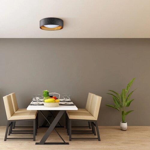  LED plafonsko svetlo TULUZA LED/18W/230V prečnik 32 cm crno Slike