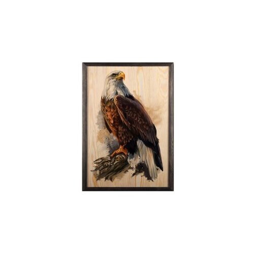 Wallity slika eagle, 35 x 50 cm Cene