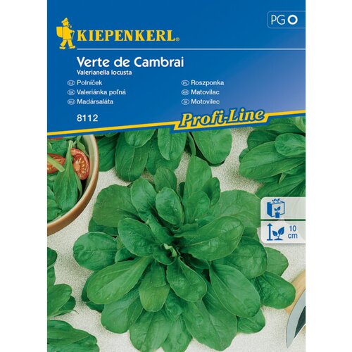 KIEPENKERL Sjeme povrća matovilac Verte de Cambrai (Valerianella locusta, Berba: Listopad) Cijene