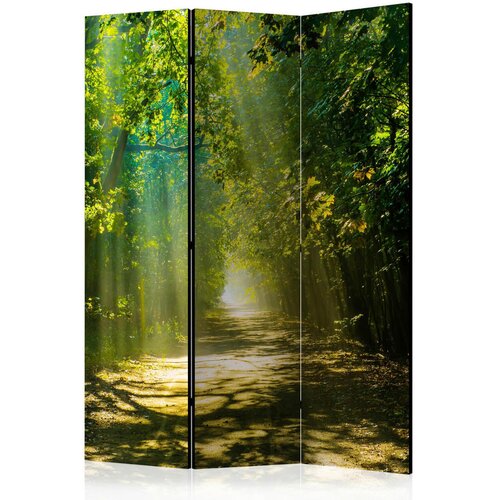 Artgeist PARAVAN 135/172/3 cm zelena, temno zelena Cene