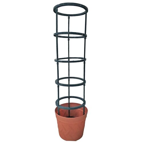 Garden Pleasure Podpora za rastline na prostem - Slike