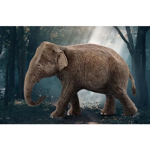 Schleich azijski slon samica 14753