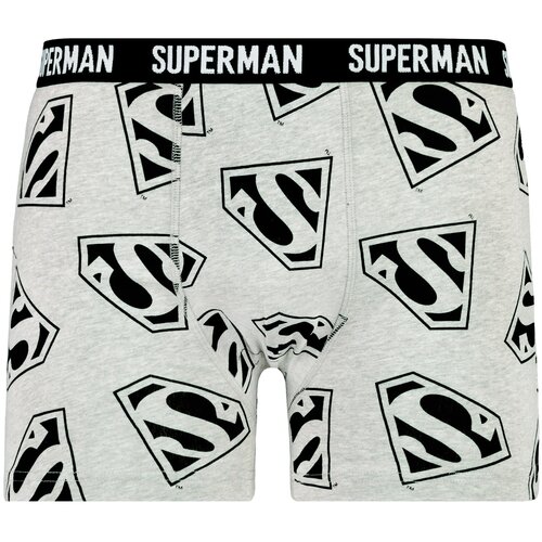 DC Comics Men's boxers Superman - Frogies Cijene