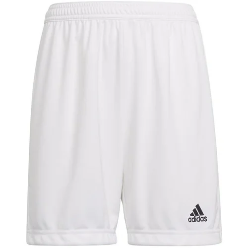 Adidas hlače 3/4, 7/8 Entrada 22 Bela