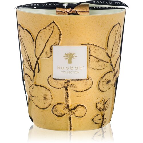 Baobab Collection Folia Garrigue di&amp;scaron;eča sveča 16 cm Slike