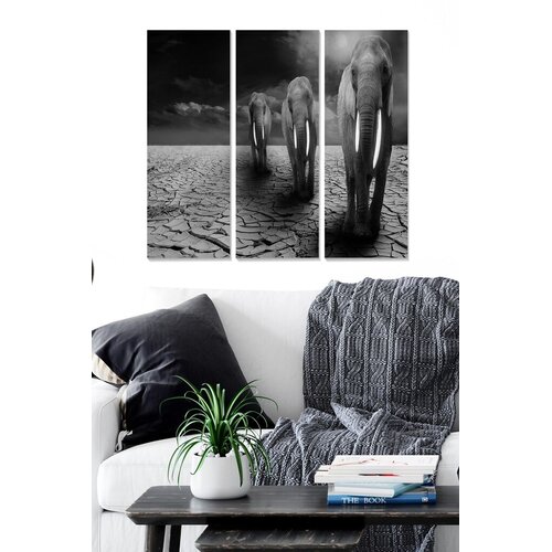 Wallity Set slika MDF590020, 3 dijela Cene