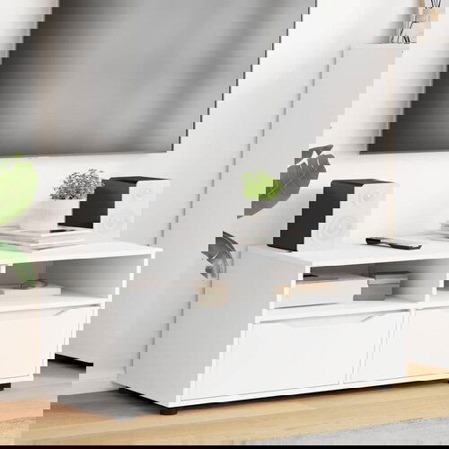 VidaXL TV ormar s ladicama Bijelo 100 x 48 x 43 cm Konstruirano drvo Slike