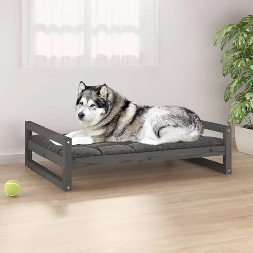 vidaXL Krevet za pse sivi 105,5x75,5x28 cm od masivne borovine