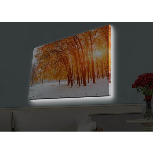 Wallity Slika sa LED osvetljenjem 4570HDACT-044, 45x70 cm Cene
