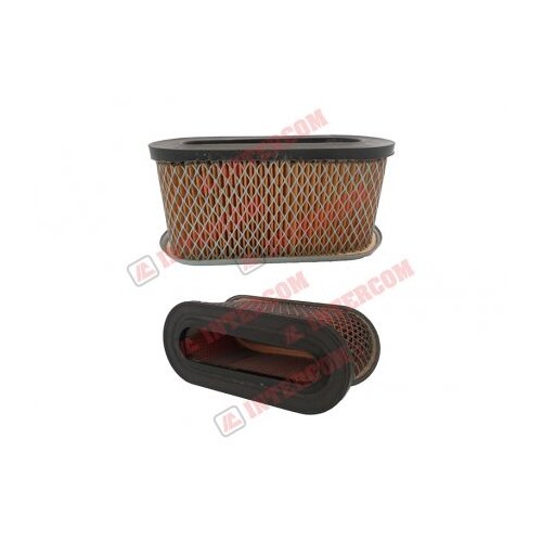  Filter vazduha Briggs & Stratton 491021 Cene
