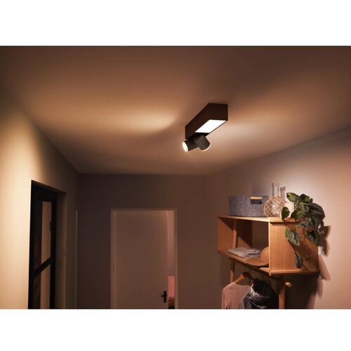 Philips LED RGBW prigu&amp;scaron;iva spot svetiljka Hue CENTRIS 2xGU10/4,2W + LED/11W Slike