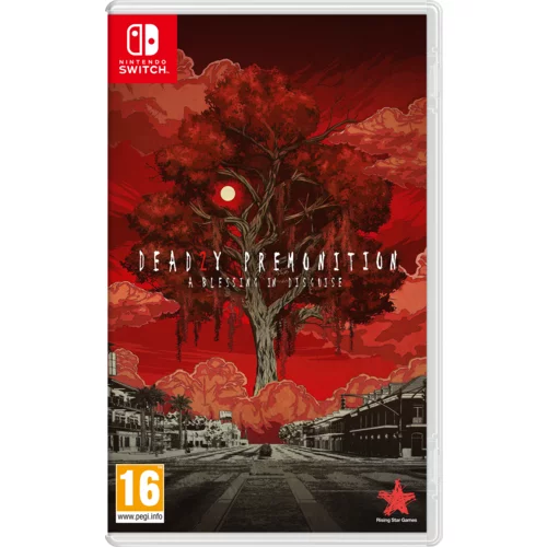 Nintendo DEADLY PREMONITION 2 A BLESSING IN DISGUISE NS