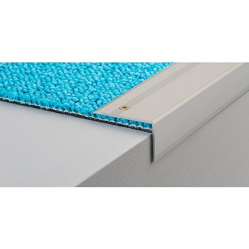 LOGOCLIC završni profil za stepenice (mat plemeniti čelik, 2,5 m x 40 mm x 25 mm, vrsta montaže: vijci) Cijene