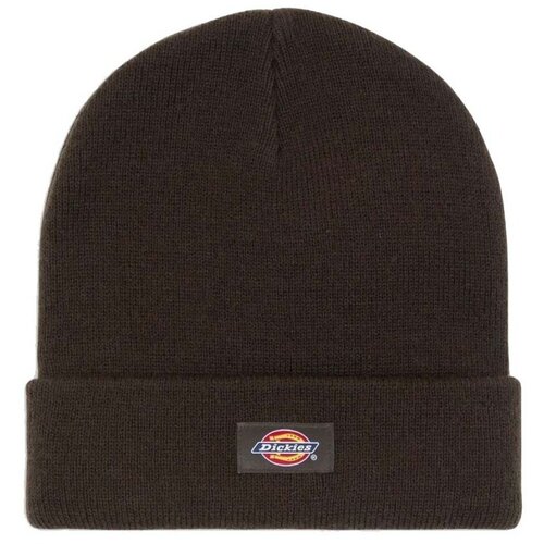 Dickies GIBSLAND BEANIE Smeđa Slike