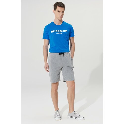 AC&Co / Altınyıldız Classics Men's Light Gray Melange Standard Fit Daily Comfortable Sports Knitted Shorts Slike