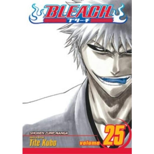 VIZ Media Tite Kubo - Bleach, Vol. 25: No Shaking Throne Cene
