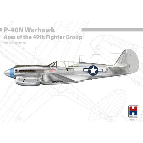 HOBBY2000 P-40N Warhawk Asi 49. lovske skupine, (21287307) Cene