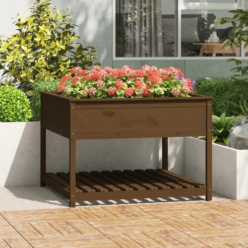 VidaXL Sadilica policom boja meda 111 5x111 5x81cm od masivne borovine Slike