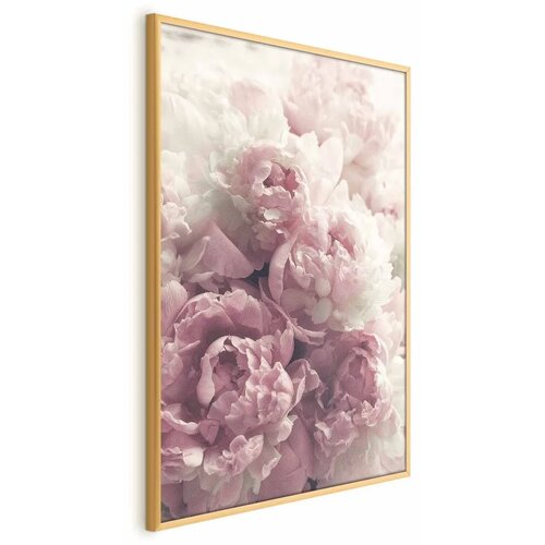  Plakat Delicate Peonies 29.7x42 Zlatni okvir Cijene