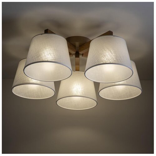Brilagi plafonski luster latte sabia 5xE27/15W/230V bor/bela Cene