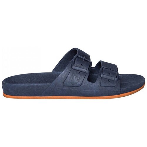 Cacatoès Brasilia Blue Cijene
