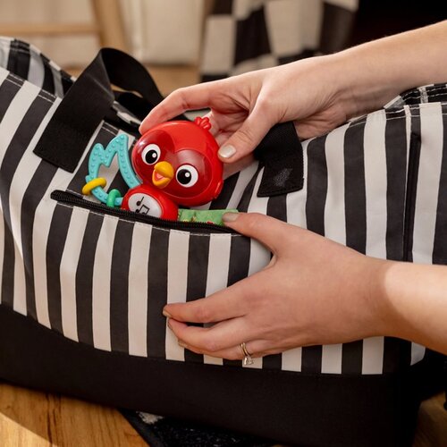 BABY EINSTEIN Roxy&amp;#039;s Bright Flight&amp;trade; glasbena igrača 3m 1 kos Slike