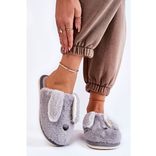 Kesi Women's Fur Slippers Grey Remmi Cene