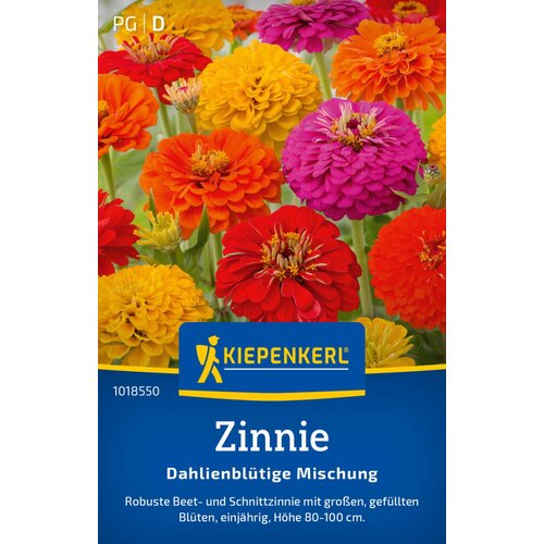 KIEPENKERL Mešanica cinij oblika dalije - 1 pkt. Cene