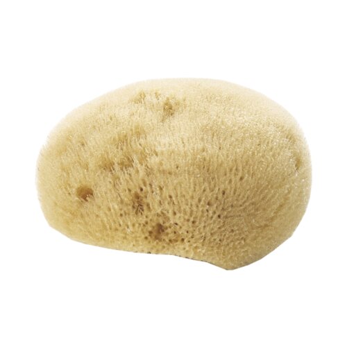 Avril Fine Natural Face Sponge Slike
