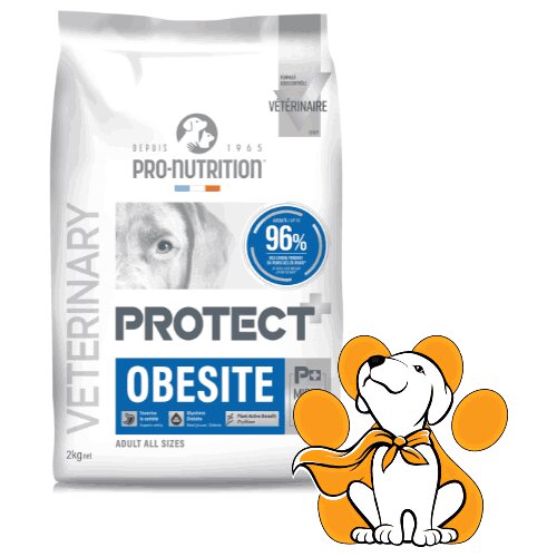 Pro Nutrition Protect Obesite 2kg, Hrana Za Regulaciju Telesne Težine Cene