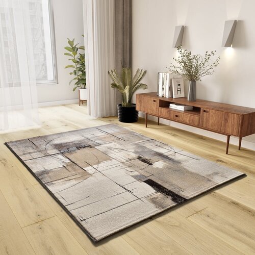 Universal Sivi/bež tepih 160x230 cm Beruti &amp;ndash; Slike