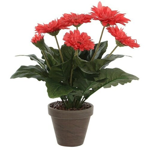  Umjetna biljka Gerbera (Visina: 35 cm, Roze boje, Plastika) Slike