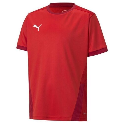 Puma Teamgoal 23 Jersey Crvena Slike