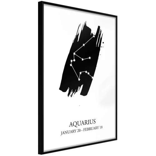  Poster - Zodiac: Aquarius I 20x30