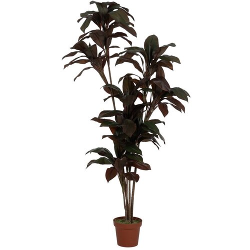 Ixia Umetna rastlina (vi&amp;scaron;ina 170 cm) &amp;ndash; Slike
