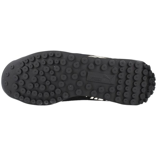 Puma Nizke superge EASY RIDER ZEBRA WNS Večbarvna Slike