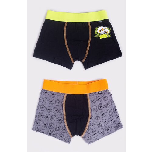Yoclub Kids&amp;#039;s 2Pack Boy&amp;#039;s Boxer Briefs BMB-0015C-AA30 Slike