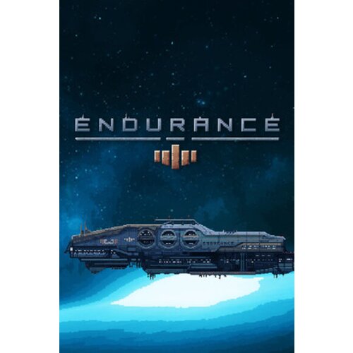 Steam Endurance - Space Shooter (PC) Key GLOBAL Cene