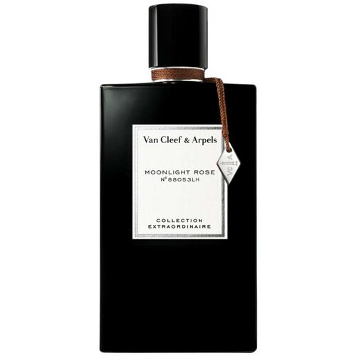 Parfem za oba spola Van Cleef &amp;amp;amp Arpels Moonlight Patchouli EDP 75 ml Slike